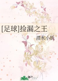 [足球]捡漏之王